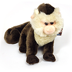 CAPUCHIN 18CM